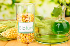 Newsome biofuel availability